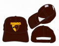 HAWTHORN HAWKS